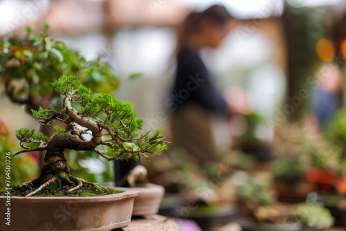 foreground focus on bonsai with blurred person in background