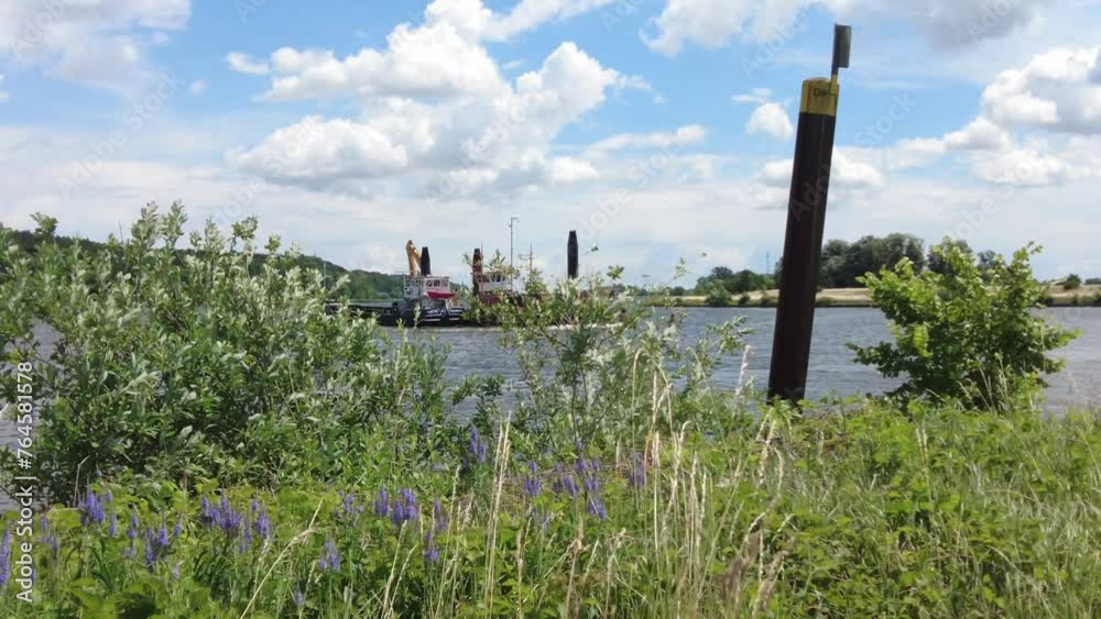 Elbestrom bei Geesthacht in Niedersachsen