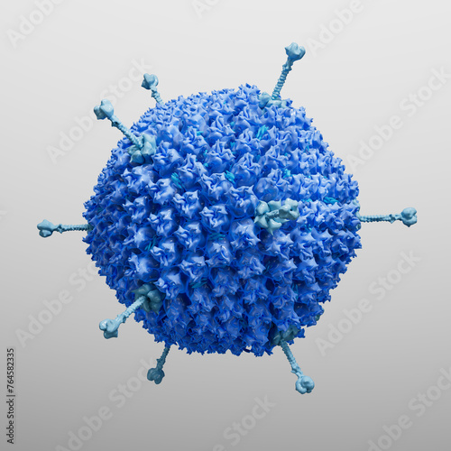 Adenovirus, illustration photo