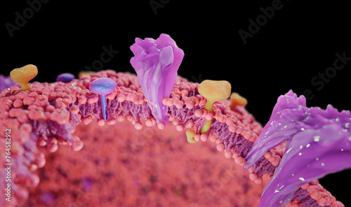 Coronavirus membrane with proteins, illustration photo