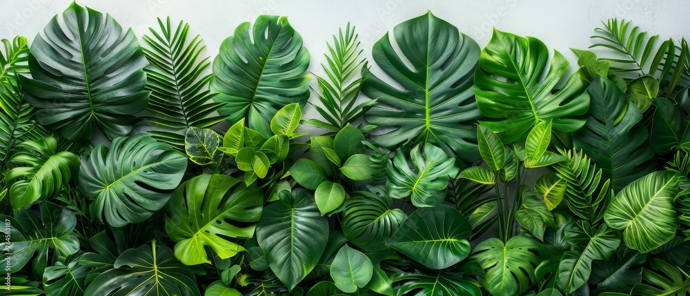 Green space featuring tropical foliage, isolated on white background, botanical collection, eco-chic decor, houseplants, vibrant leaf textures.