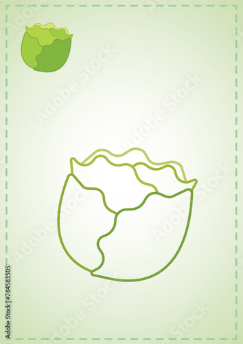 blank coloring page cabbage broccoli salad greens fruits vegetables color layout illustration