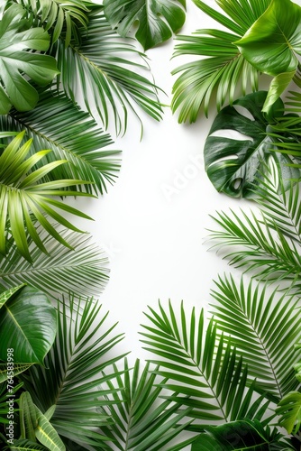 Indoor oasis with vibrant green leaves of tropical plants  eco-friendly decor  isolated on white background  fresh greenery  nature-inspired serene atmosphere.