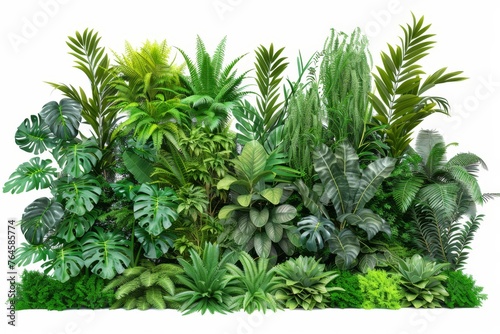 Tropical plants with vibrant green leaves, isolated on white background, indoor botanical theme, lush foliage, eco-friendly decor, fresh greenery. © Fokasu Art