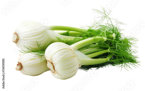 Enjoying the Nutritional Value of Fennel