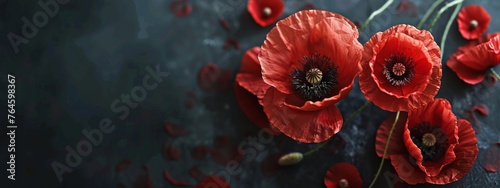 Anzac Day, poppy flowers on dark background. Remembrance day symbol.