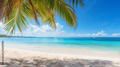  Tropical beach. Summer vacation on a tropical island with beautiful beach and palm trees. Tropical Maldives. © Pakhnyushchyy
