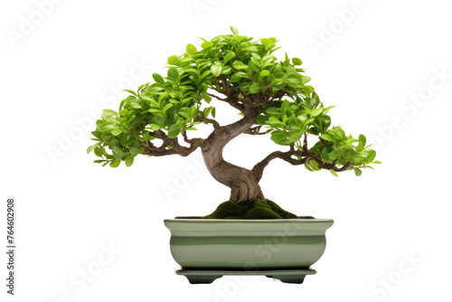 Tranquil Bonsai Harmony: Miniature Tree Elegance in a Ceramic Pot. On White or PNG Transparent Background..