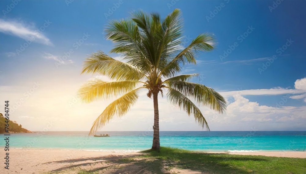One palm tree on the beach against the background of the ocean.