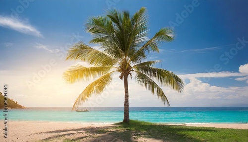 One palm tree on the beach against the background of the ocean.
