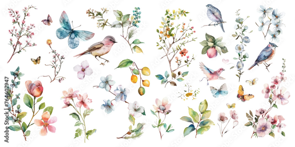 Set of watercolor flowers, birds, butterflies on a white background.