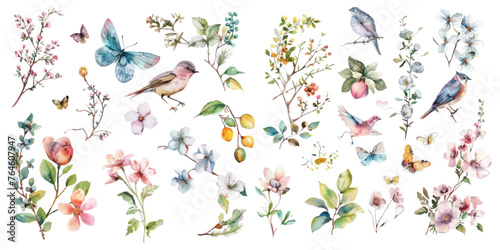 Set of watercolor flowers, birds, butterflies on a white background. #764607947