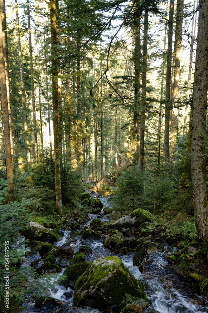 Vosges Vosges