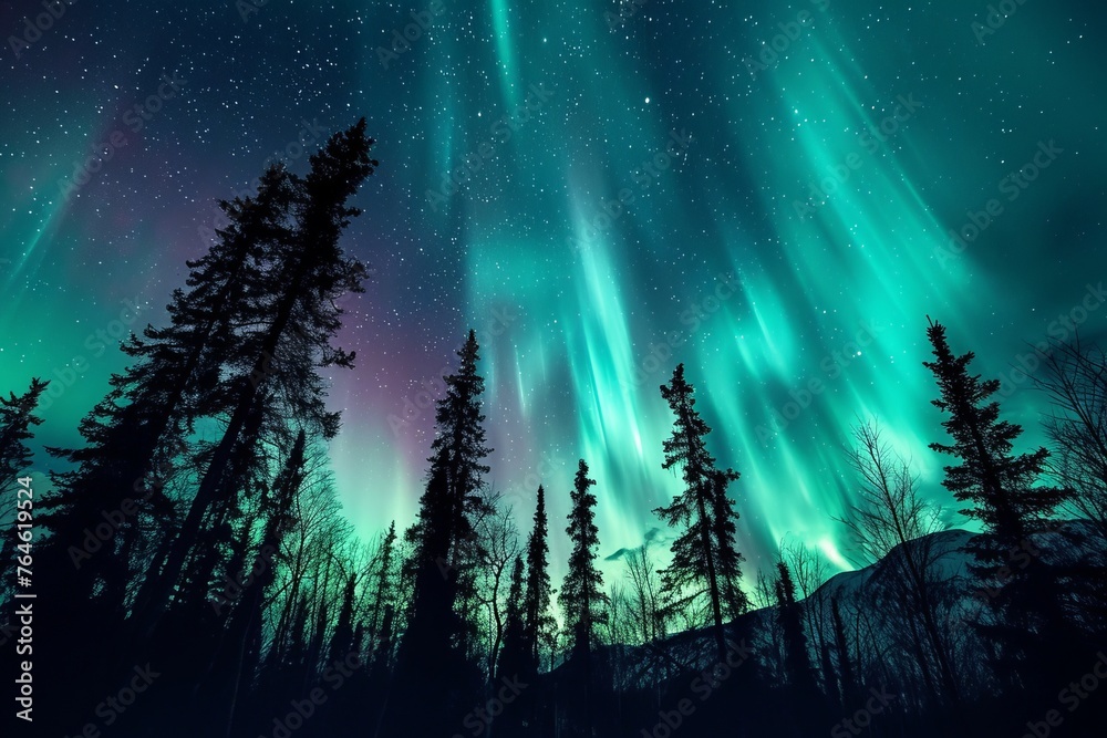 Aurora Night sky with northern lights over winter trees forest
