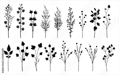 Vector set of flowers on a white background © Wirestock