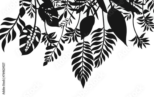 Vector of plant leaves on a white background