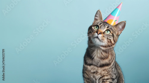 funny cat in a birthday hat on blue background with copy space   Generative AI  