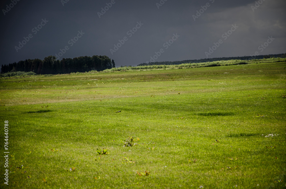 green meadow with dark clouds and forest in background. russia