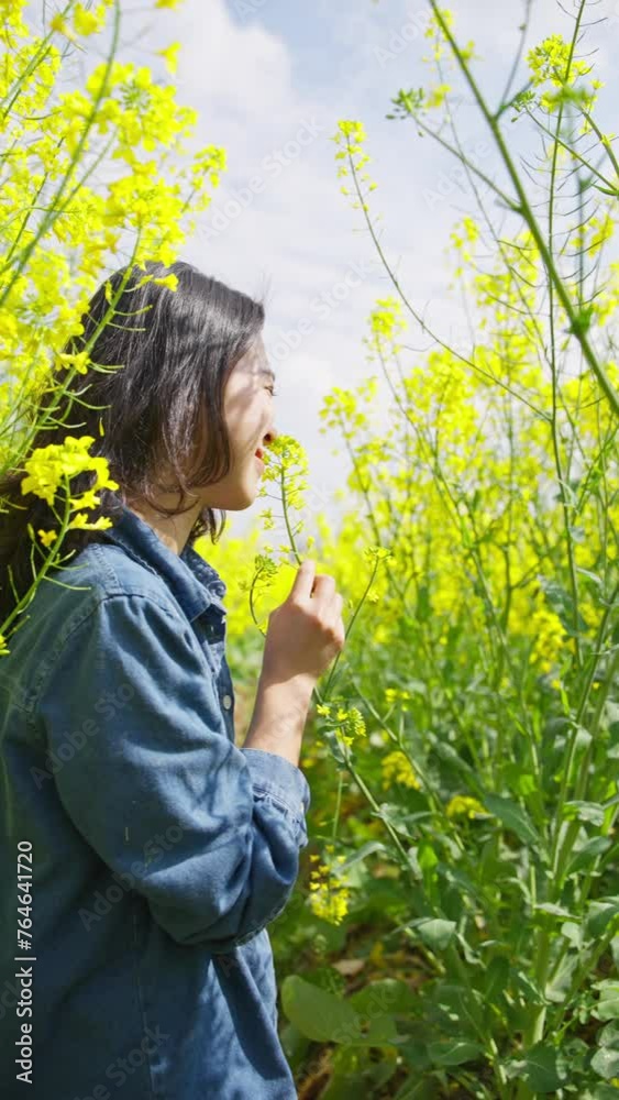 pretty young asian woman enjoy the spring rapeseed flower sunny day pretty young asian woman enjoy the spring rapeseed flower sunny day