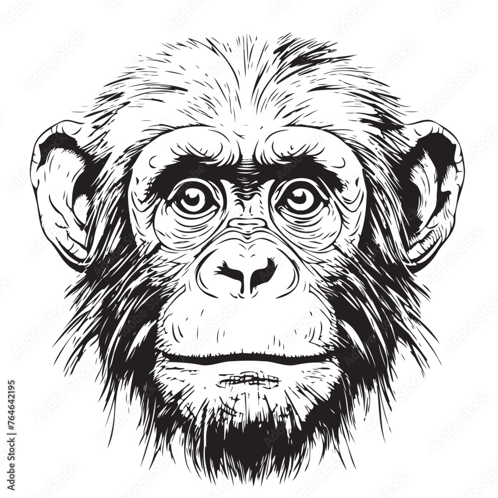 Monkey face sketch hand drawn in doodle style illustration Cartoon