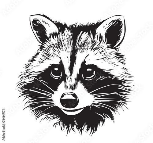 Cute hand drawing raccoon sketch. Vector monochrome illustration.