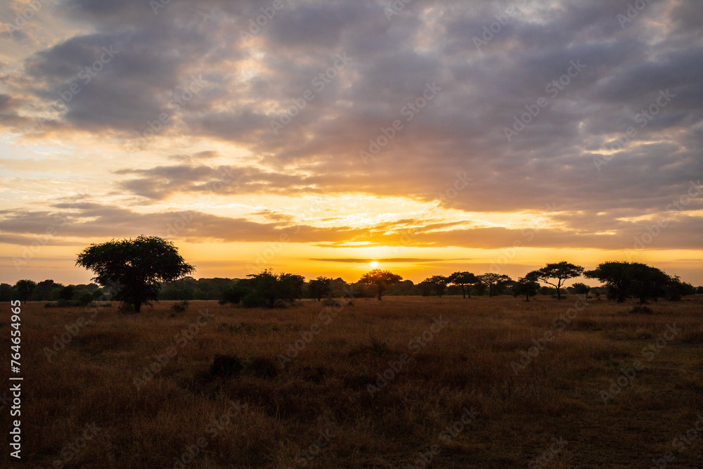 Golden Sunrise Over the Serengeti Plains, Western Corridor, Tanzania, Africa