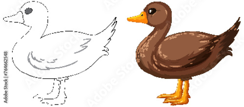 Vector illustration of a duck, outlined and colored