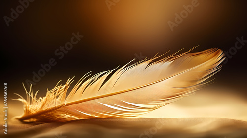 Feather background  feeling of tranquility