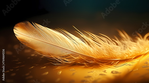 The depiction of feathers with exquisite details