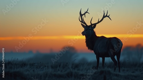 In the tranquil morning, the stag's gaze pierces the horizon, embodying the essence of strategic reflection and limitless new opportunities.