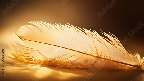 The depiction of feathers with exquisite details