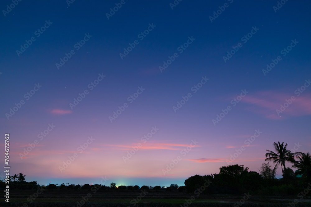 Fototapeta premium Blue and purple-pink sky at twilight with smooth clouds, darkness, and silhouetted coconut trees at sunset. Abstract nature background