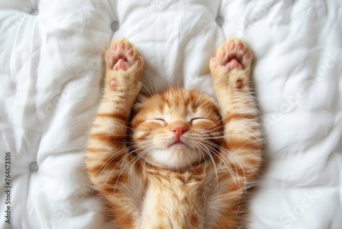 Top View of Adorable Ginger Kitten Sleeping on White Bed