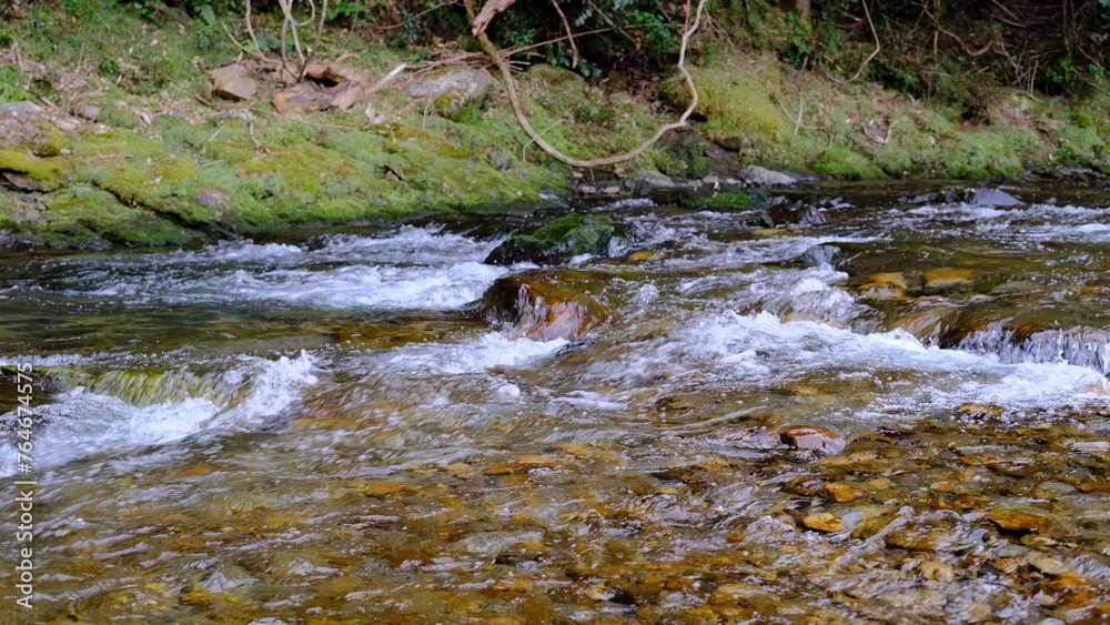 Obraz premium 田舎を流れる清流