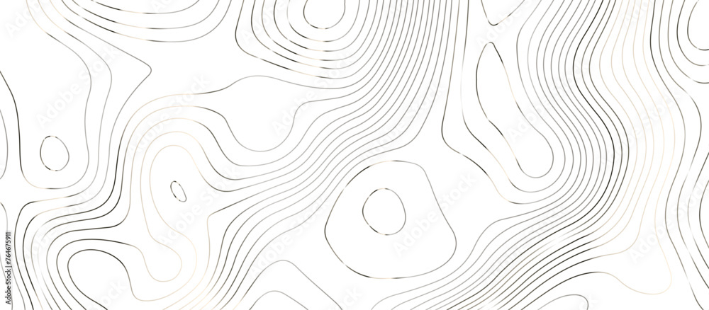 Topographic map background geographic line map pattern .panorama view silver color wave curve lines .geographic mountain relief abstract grid .the concept map of a conditional geography map . - obrazy, fototapety, plakaty 