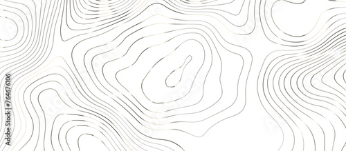 Topographic map background geographic line map pattern .panorama view silver color wave curve lines .geographic mountain relief abstract grid .the concept map of a conditional geography map .