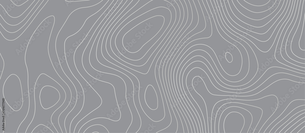 Fototapeta premium Topographic map background geographic line map pattern .panorama view gray color wave curve lines .geographic mountain relief abstract grid .the concept map of a conditional geography map .