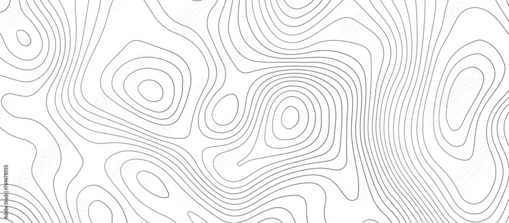 Topographic map background geographic line map pattern .panorama view gray color wave curve lines .geographic mountain relief abstract grid .the concept map of a conditional geography map . - obrazy, fototapety, plakaty 