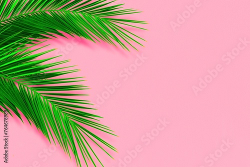 Tropical palm leaves, foliage plant branches on pink color with blank space background. Creative lifestyle. Minimal summer concept. Flat lay, Top view 