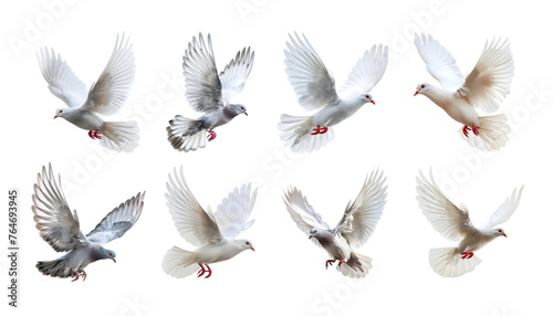 3D Rendering Pack of a Flying Dove on Transparent Background - Ai Generated