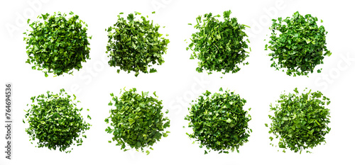 3D Rendering Pack of a Chopped Parsley on Transparent Background - Ai Generated