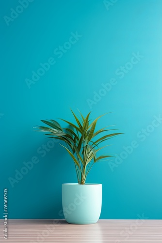 Potted plant on table in front of cyan wall  in the style of minimalist backgrounds  exotic  cyan
