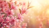 Spring Peach Blossoms in Sunlight