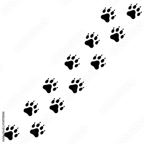 Dog tracks. Paw print. A line of footprints. Vector template. Illustration isolated on white background.