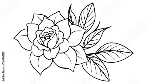 Set of hand-drawn botanical flowers line art vector. Collection of foliage  leaf branches  floral  flowers  roses  and line art.