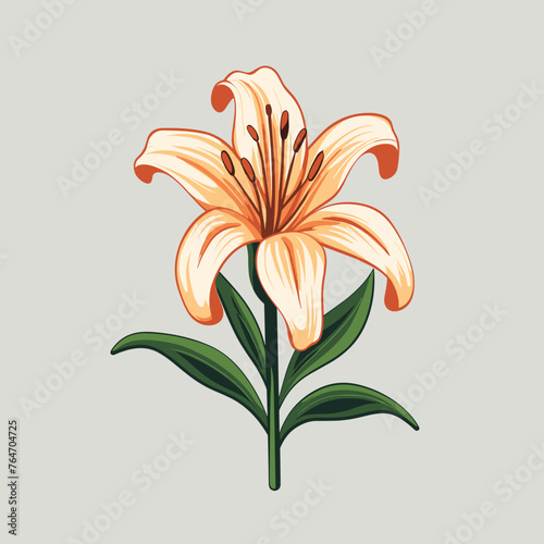 Fototapeta Naklejka Na Ścianę i Meble -  Lily flower on neutral background. Vector illustration of blooming floral for your design, wedding invitation, greeting card