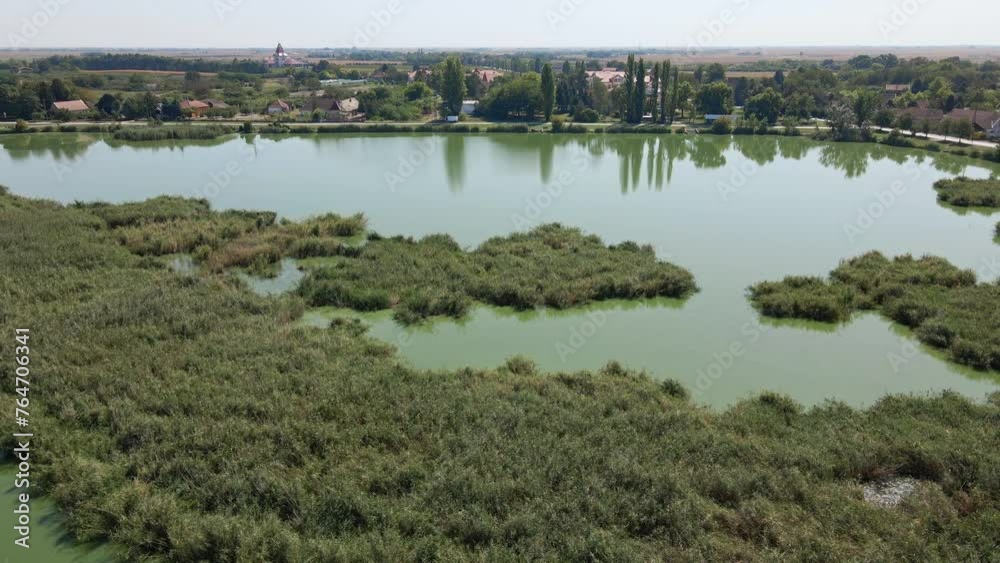 Krvavo jezero in Palic, Subotica in Serbia covered with reeds, drone video Krvavo jezero in Palic, Subotica in Serbia covered with reeds, drone video