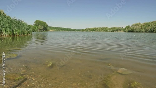 Rippling water of a lake Moharac in Serbia surrounded with green trees and reeds photo