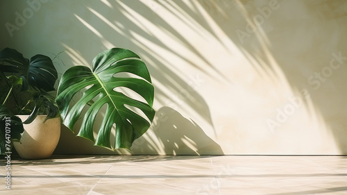 Minimalistic light background with blurred Monstera Deliciosa plant pot shadow on a light wall. Beautiful background for presentation with with marble floor
