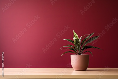 Potted plant on table in front of maroon wall, in the style of minimalist backgrounds, exotic